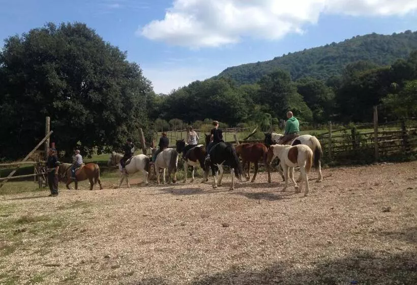 Aamiaismajoitus (B&B) La Culla Dei Castelli Romani