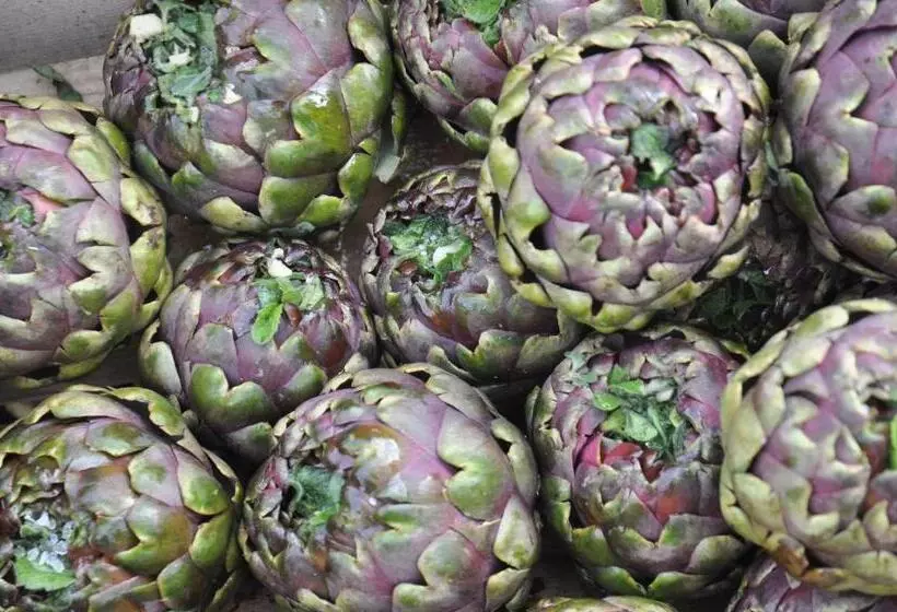 Aamiaismajoitus (B&B) La Culla Dei Castelli Romani