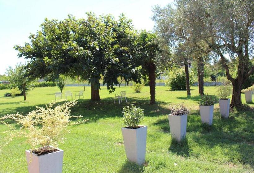 مبيت وإفطار Marelaguna Rooms