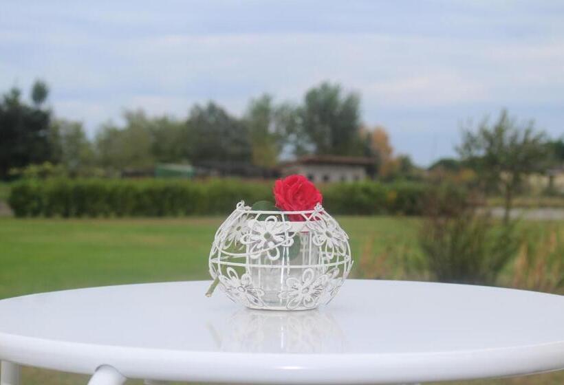 مبيت وإفطار Marelaguna Rooms