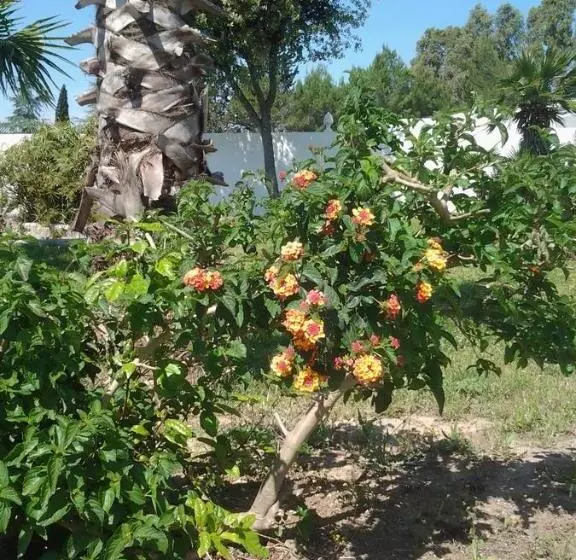 ベッドアンドブレックファースト Tenuta I Giardini Del Salento