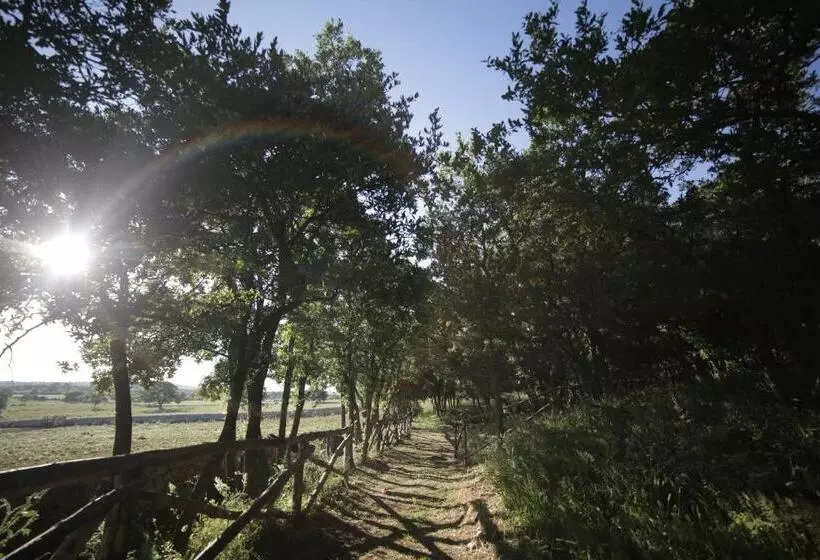 Aamiaismajoitus (B&B) Tenuta Suite 801