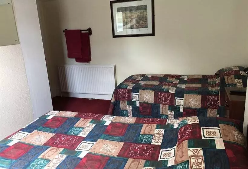 Aamiaismajoitus (B&B) The Bridge Inn