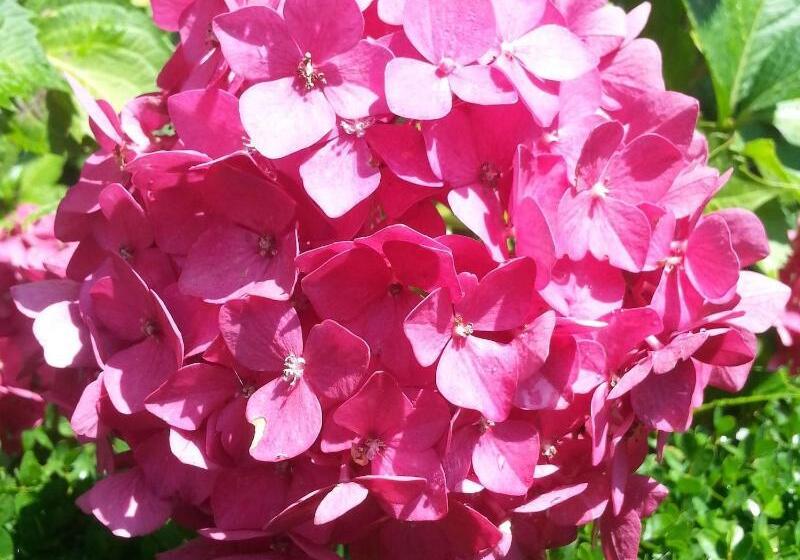 Bed and Breakfast Villa Abbamer