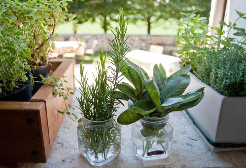 בית מלון כפרי Locanda Solagna