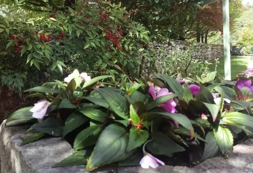 ホテル Locanda Solagna