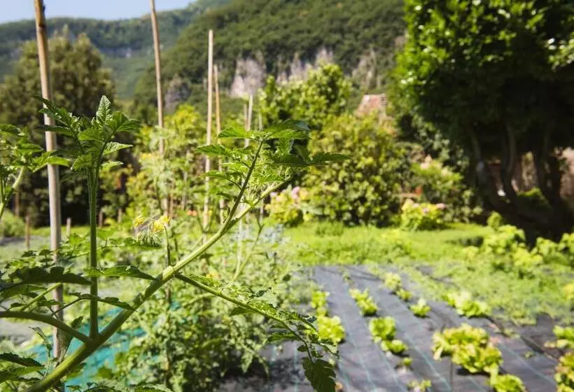 ホテル Locanda Solagna