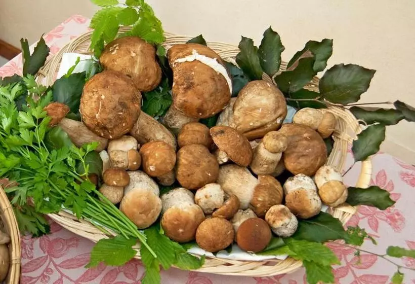 ホテル Locanda Solagna