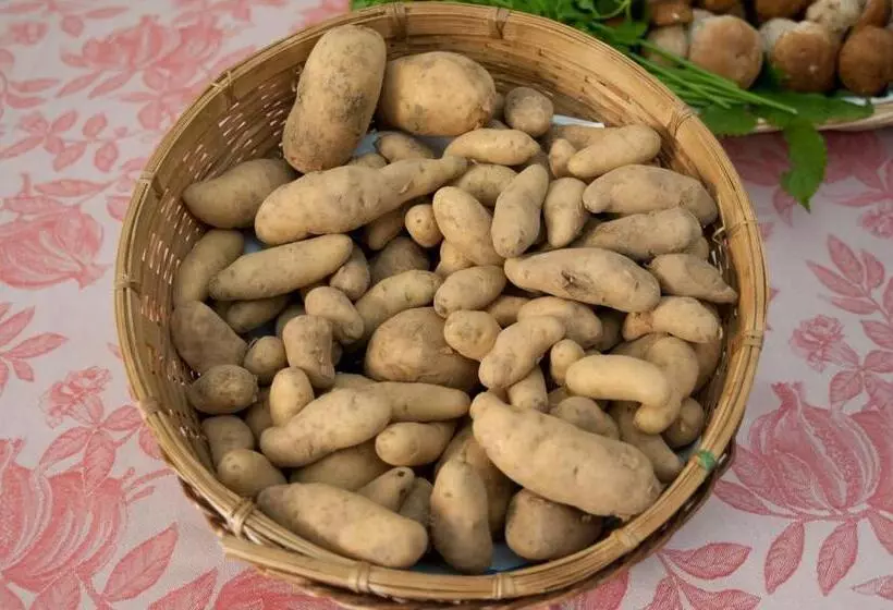 ホテル Locanda Solagna