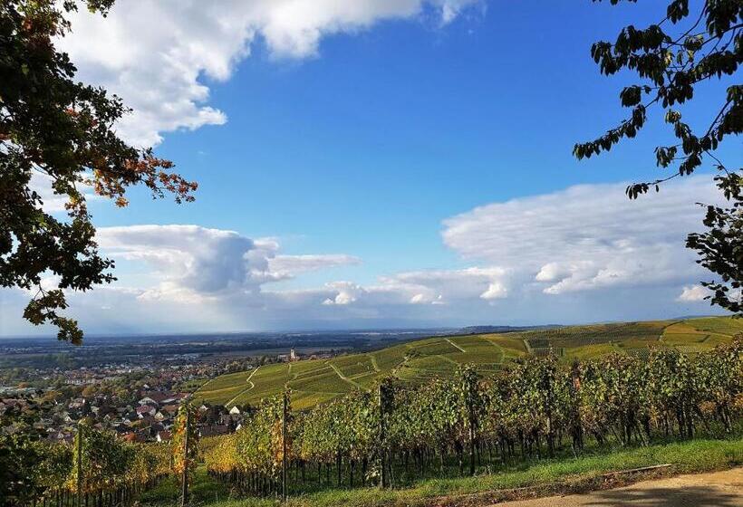 Apart Hotel Freiburg