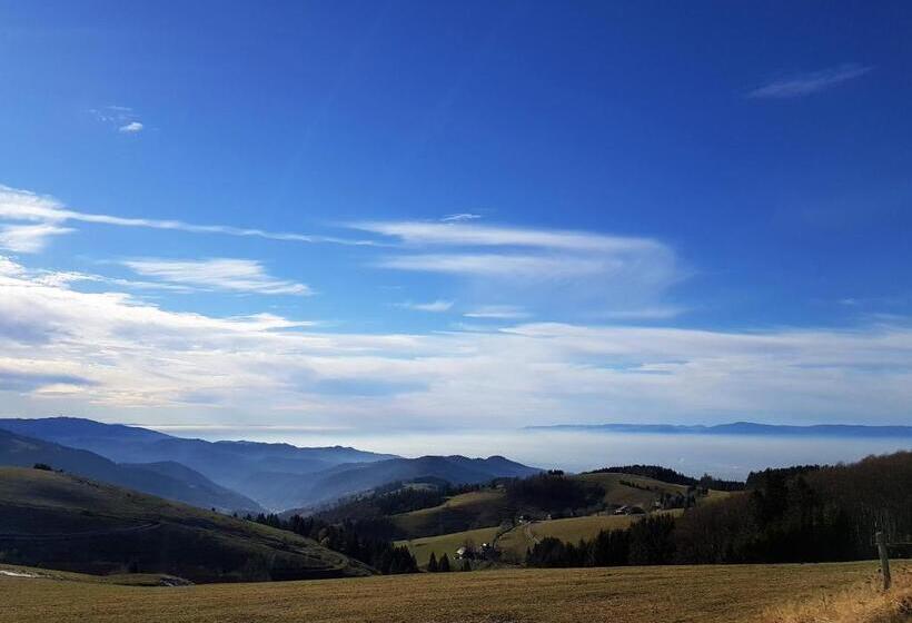 Apart Hotel Freiburg