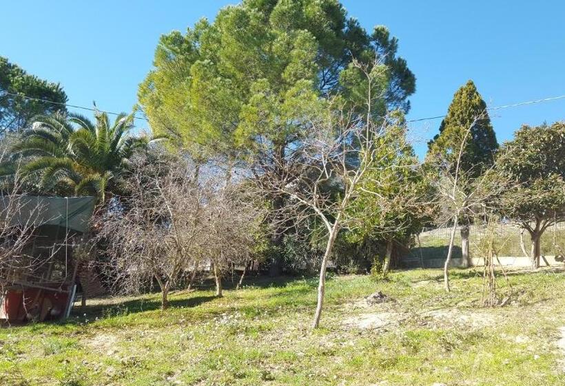 B&b   Affittacamere Da Pietro   Enna