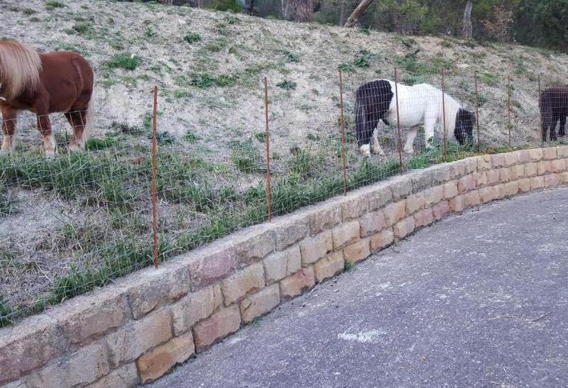 B&b   Affittacamere Da Pietro   Enna