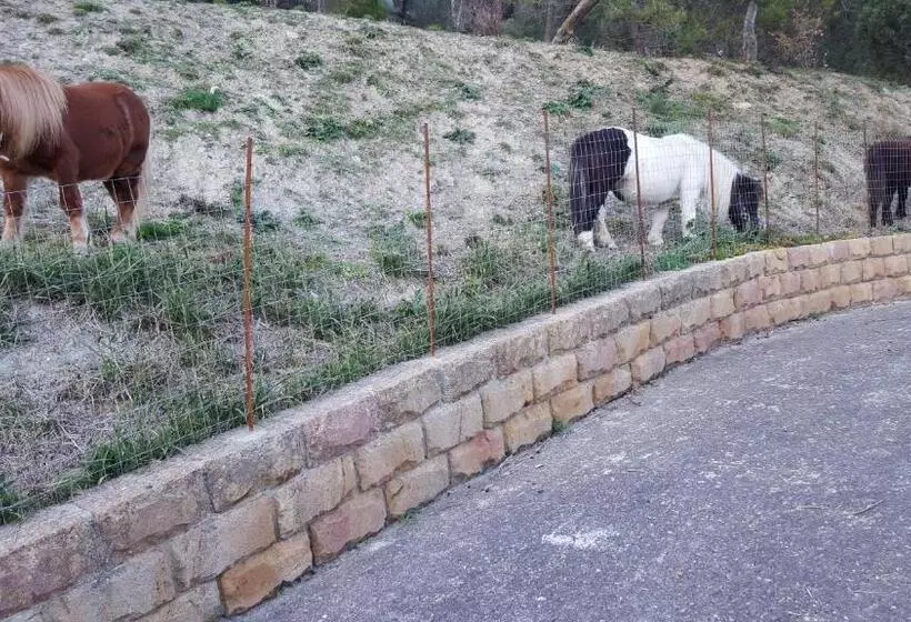 B&b   Affittacamere Da Pietro   Enna