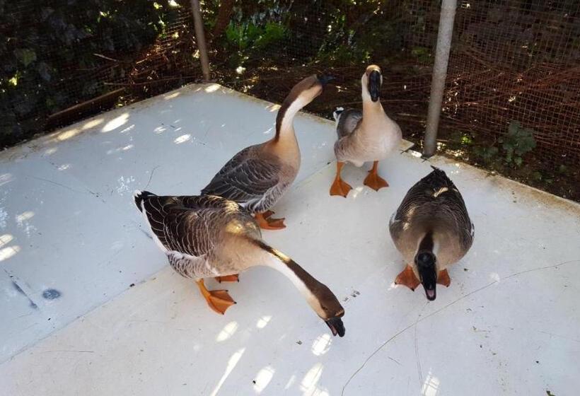 B&b   Affittacamere Da Pietro   Enna