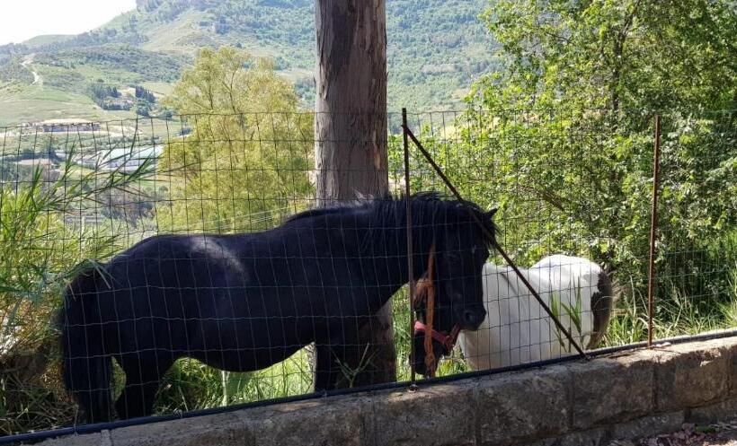 B&b   Affittacamere Da Pietro   Enna