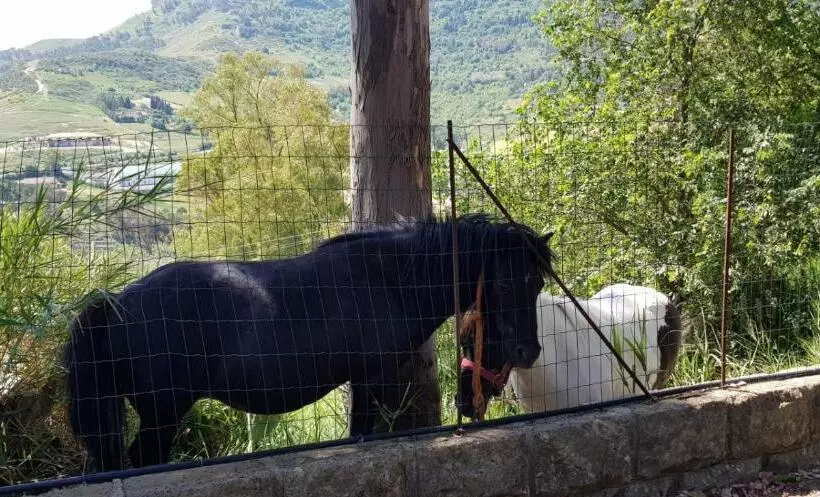 B&b   Affittacamere Da Pietro   Enna