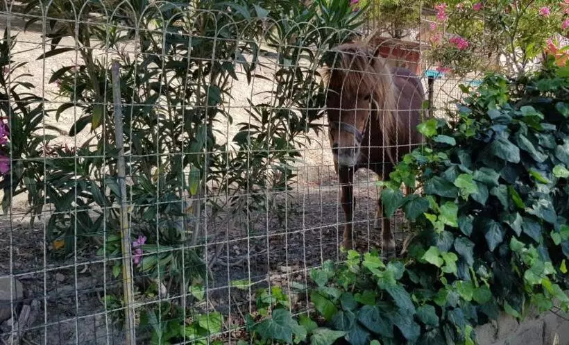 B&b   Affittacamere Da Pietro   Enna