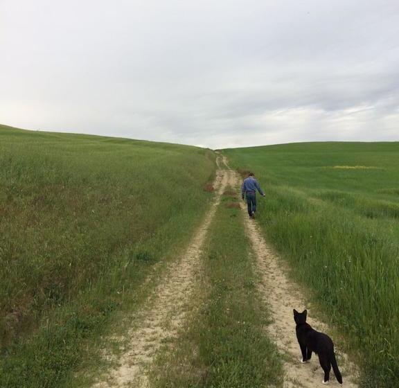 Cordella In Montalcino Wine Resort