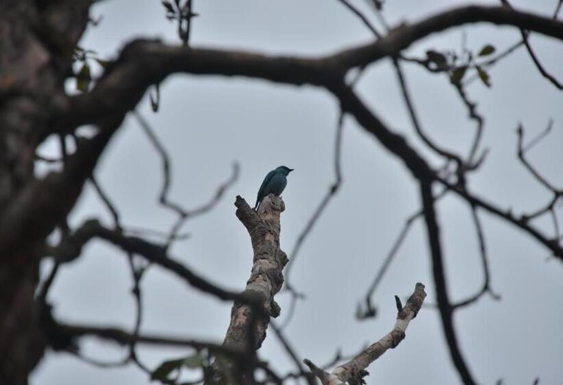 אתר נופש The Hermitage Kanatal