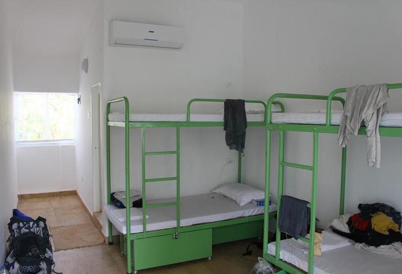 Summer By Thehostelcrowd