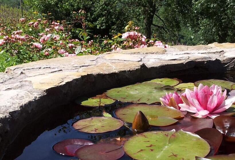 Bed and Breakfast Fattoria Poggerino