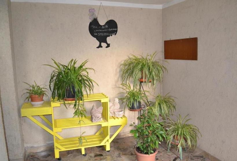 مبيت وإفطار Il Giardino Del Gallo