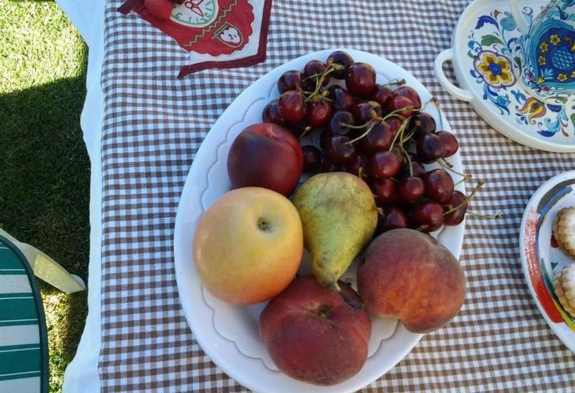 مبيت وإفطار Sa Mariposa