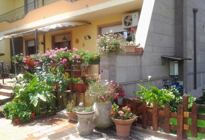 مبيت وإفطار Sa Mariposa