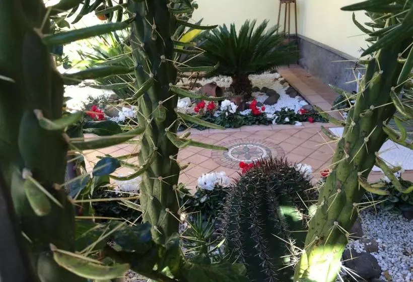 ベッドアンドブレックファースト Sa Mariposa