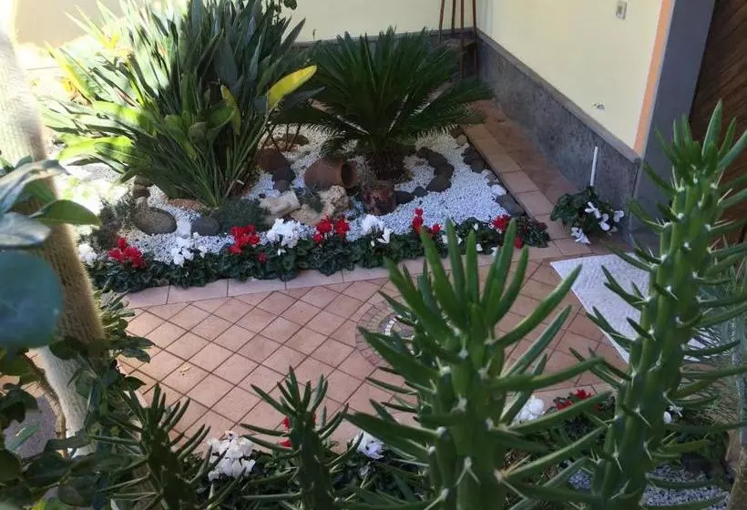 ベッドアンドブレックファースト Sa Mariposa