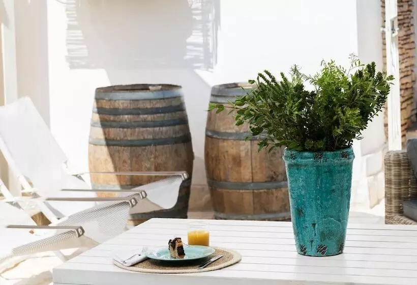 Aamiaismajoitus (B&B) Tenuta Cardinale