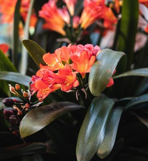 تختخواب و صبحانه Villa Noctis