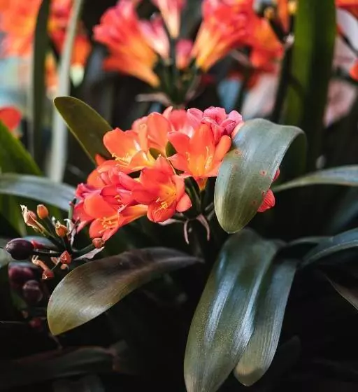 تختخواب و صبحانه Villa Noctis