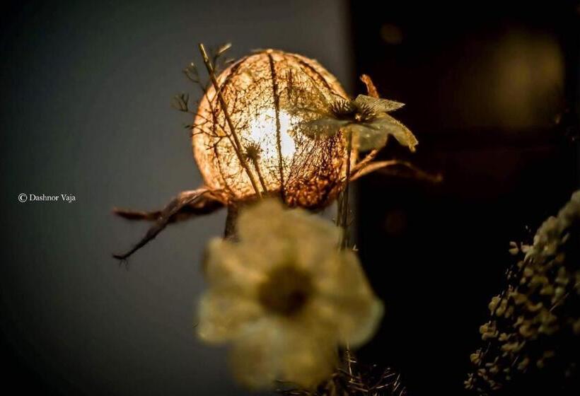 فندق Real Scampis