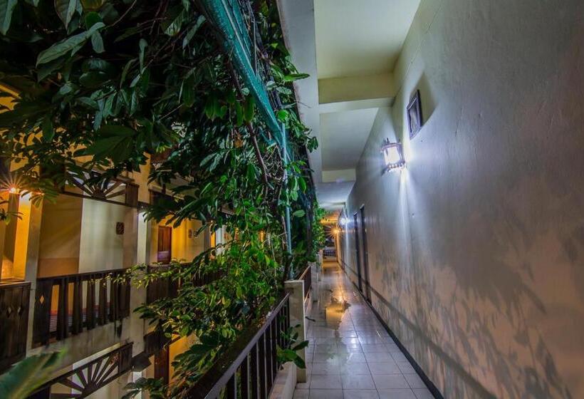 هتل Sutus Court 5