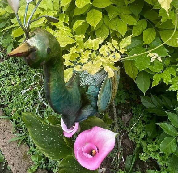 B&b Corte Sul Naviglio Cin I T 0 1 5 0 7 0 C 1 3 X U I L Q C V