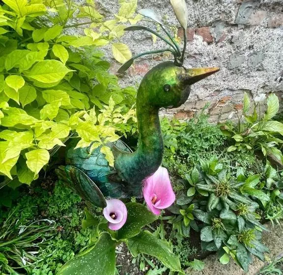 B&b Corte Sul Naviglio Cin I T 0 1 5 0 7 0 C 1 3 X U I L Q C V