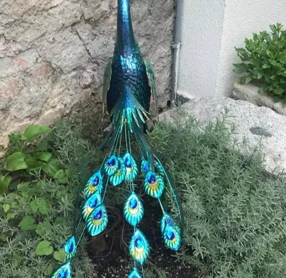 B&b Corte Sul Naviglio Cin I T 0 1 5 0 7 0 C 1 3 X U I L Q C V