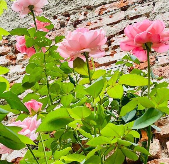 B&b Corte Sul Naviglio Cin I T 0 1 5 0 7 0 C 1 3 X U I L Q C V