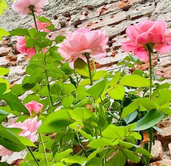 B&b Corte Sul Naviglio Cin I T 0 1 5 0 7 0 C 1 3 X U I L Q C V