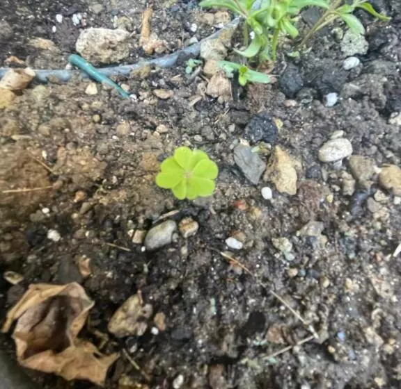 B&b Corte Sul Naviglio Cin I T 0 1 5 0 7 0 C 1 3 X U I L Q C V