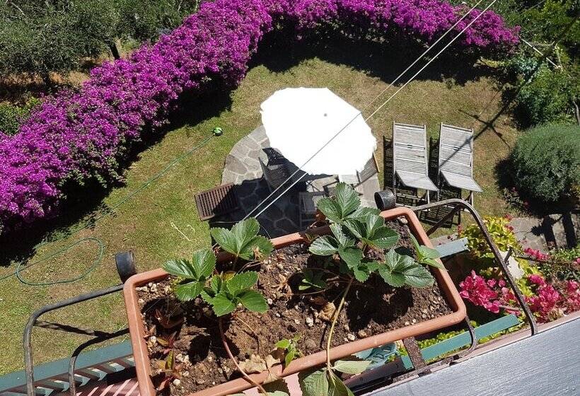 B&b Tre Mari Portofino