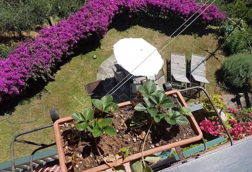 B&b Tre Mari Portofino