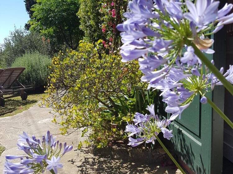 B&b Tre Mari Portofino