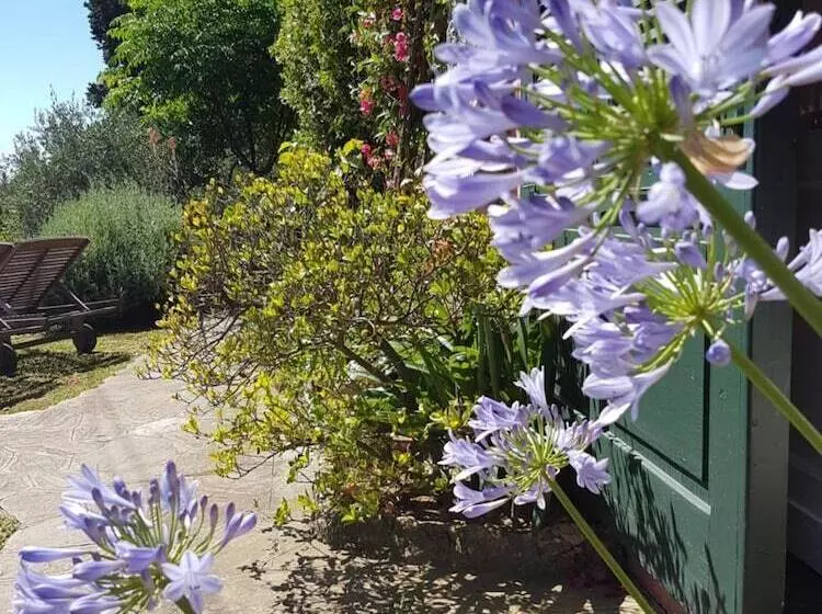 B&b Tre Mari Portofino