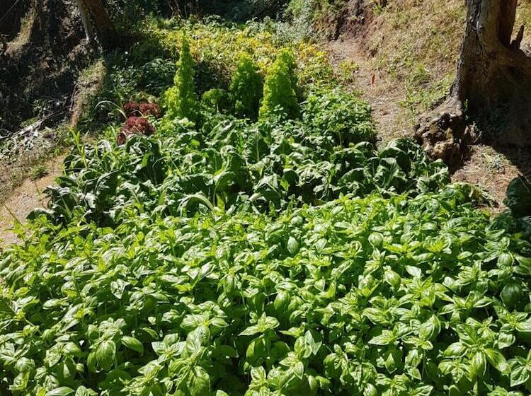 B&b Tre Mari Portofino