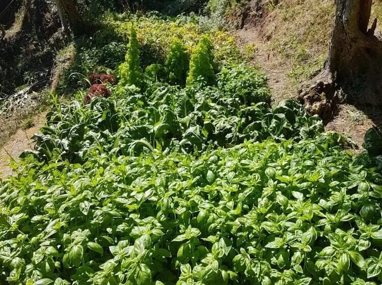 B&b Tre Mari Portofino
