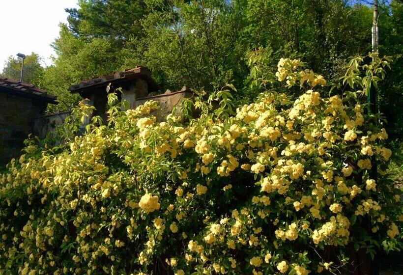 צימר Bed Breakfast La Paggeria