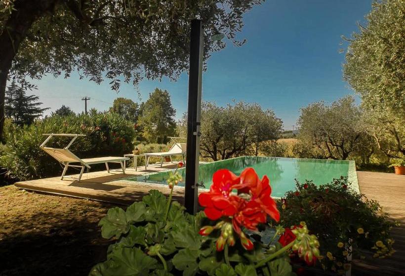 Bed and Breakfast La Gemma Sul Lago